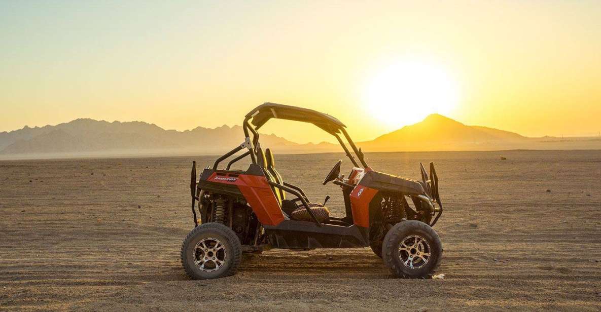 Sharm El-Sheikh: Bedouin Tent and Buggy Desert Day Tour - Good To Know