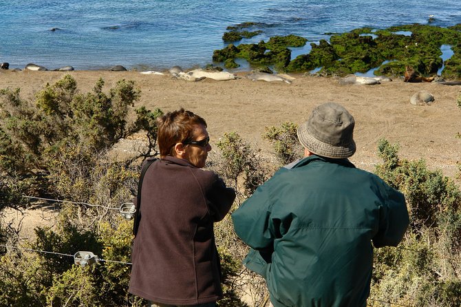 Shore Excursion Peninsula Valdes With Box Lunch &Entry Fee Madryn - Good To Know