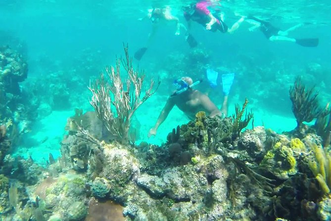 Shore Excursion: Roatan Shipwreck Snorkel Adventure - Good To Know