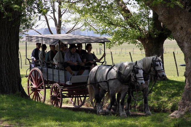 Shore Excursion:Small Group Estancia Tour to San Antonio De Areco - Itinerary Highlights