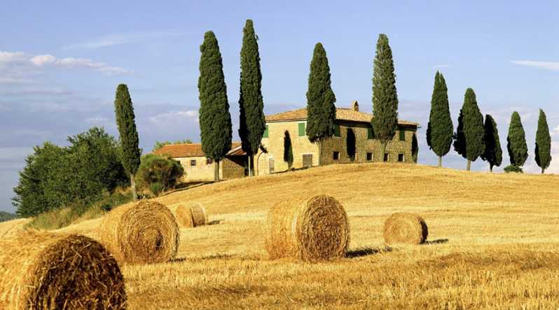 Shore Trip From La Spezia: Pisa,Lucca,Lunch & Tasting Winery - Key Points
