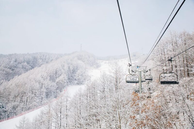 Shuttle Bus to Elysian Ski Resort(Only Transportation) - Key Points