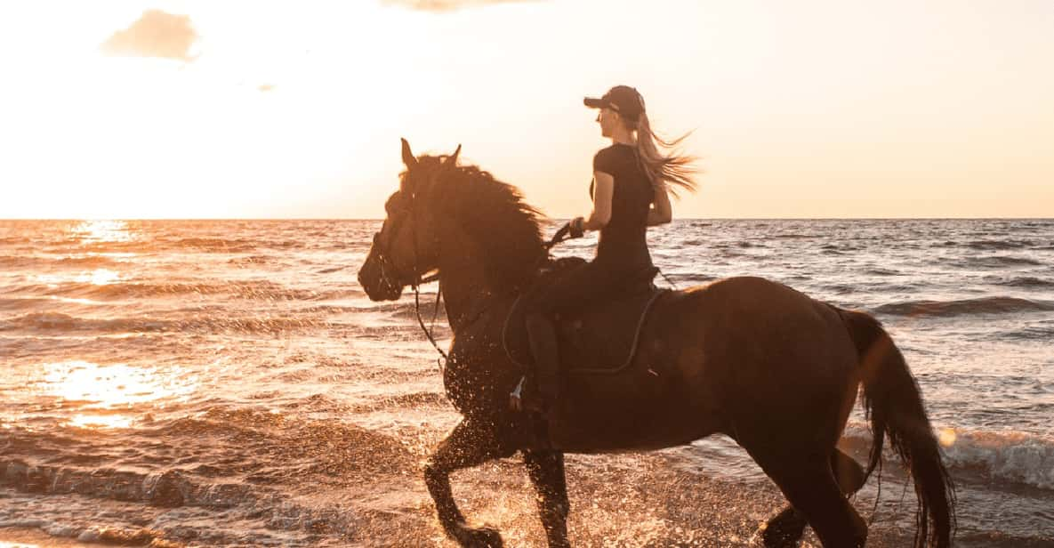 Side: Horseback Riding Tour in Nature With Transfer - Key Points