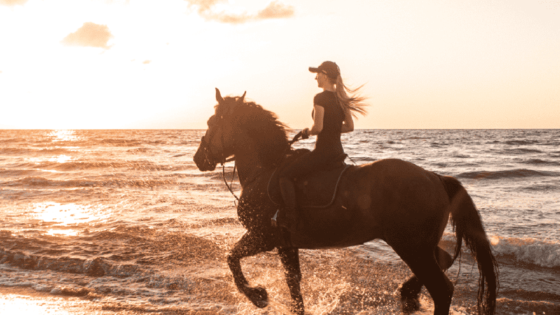 Side: Horseback Riding Tour in Nature With Transfer - Experience Highlights