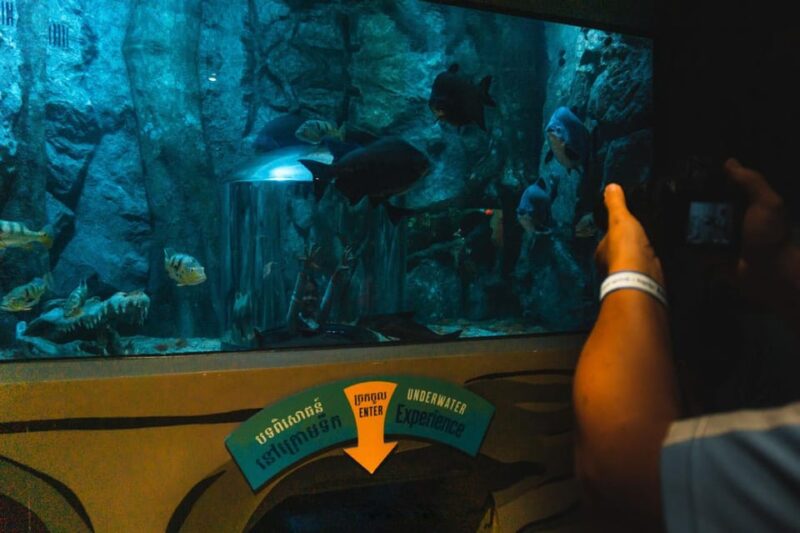 Siem Reab: Angkor Wildlife & Aquarium - Key Points