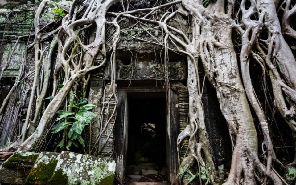 Siem Reap: Angkor Temples Tour - Shared Tours Tours Guide - Good To Know