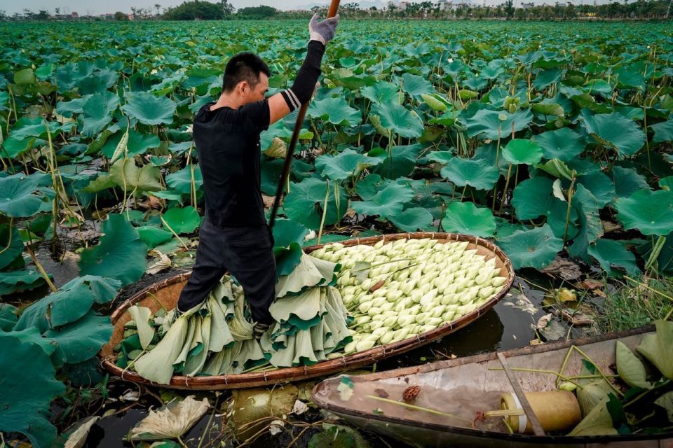 Siem Reap: Countryside With City Tour - Good To Know