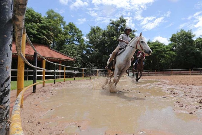 Siem Reap Happy Horse Riding - Good To Know