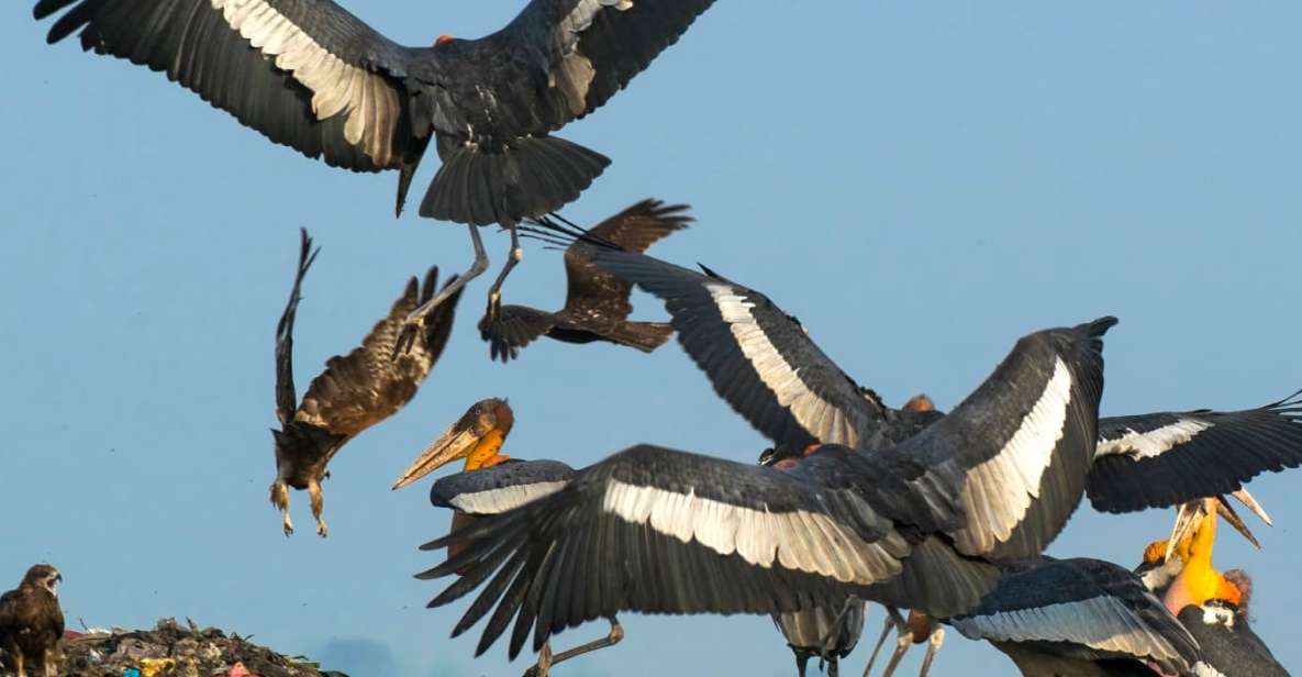 Siem Reap: Prek Toal Tonle Sap Biosphere Reserve Tour - Good To Know