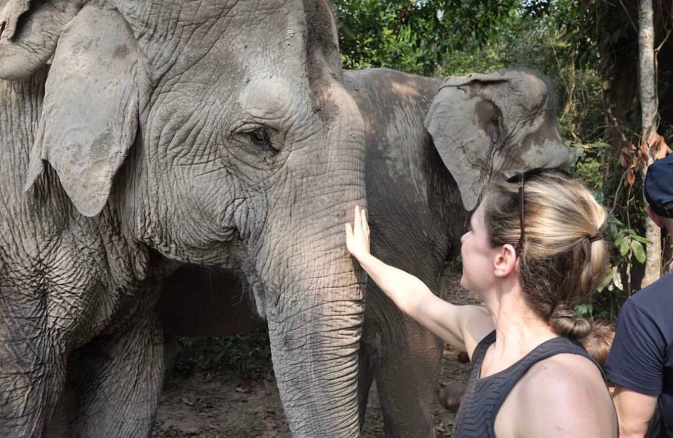 Siem Reap: Small Group Tour of Kulen Elephant Forest - Good To Know