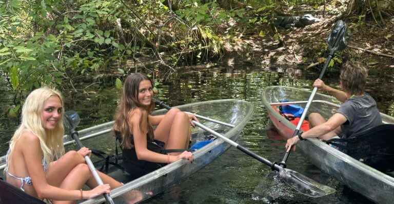 Silver Springs: Guided Clear Kayak or Paddleboard Gator Tour