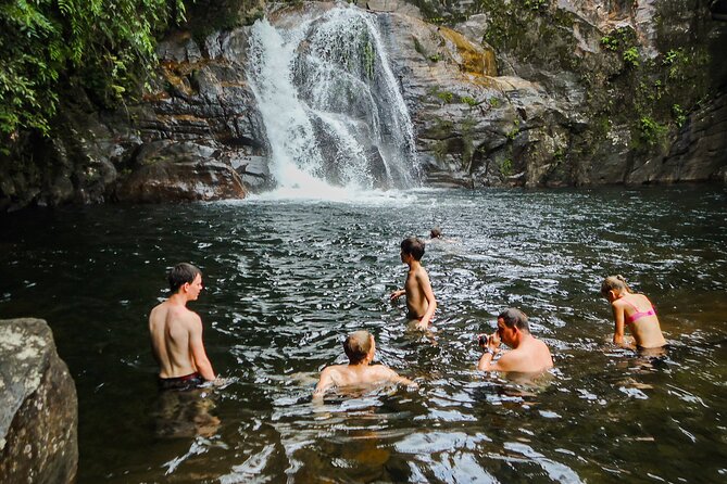 Sinharaja Rainforest Private Half Day Tour With Licensed Guide - Good To Know