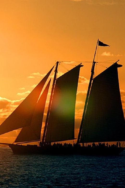 Small Group Miami and Everglades National Park 1-day Tour - Key Points