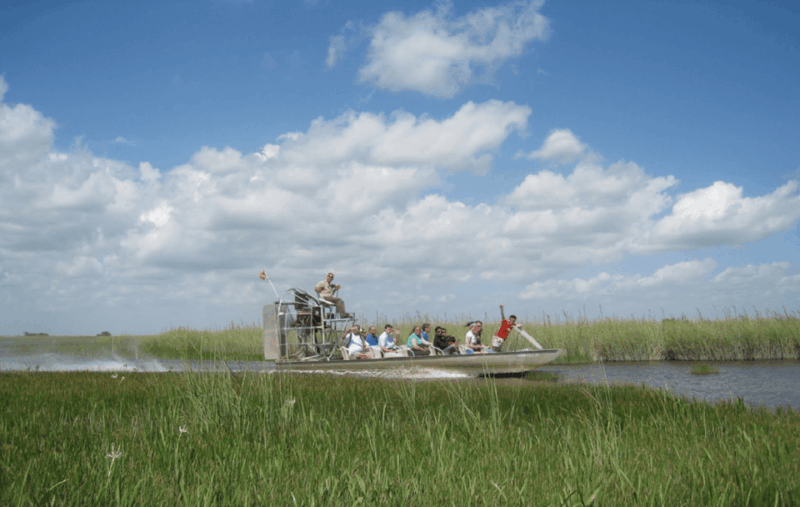 Small Group Miami and Everglades National Park 1-day Tour - Attraction Details