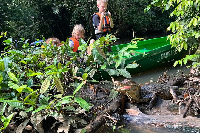 Small Group Tortuguero National Park Canoe Tour - Good To Know