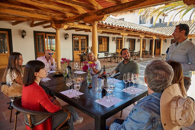 Small Group Wines and Flavours Guided Walking Tour - Tour Highlights