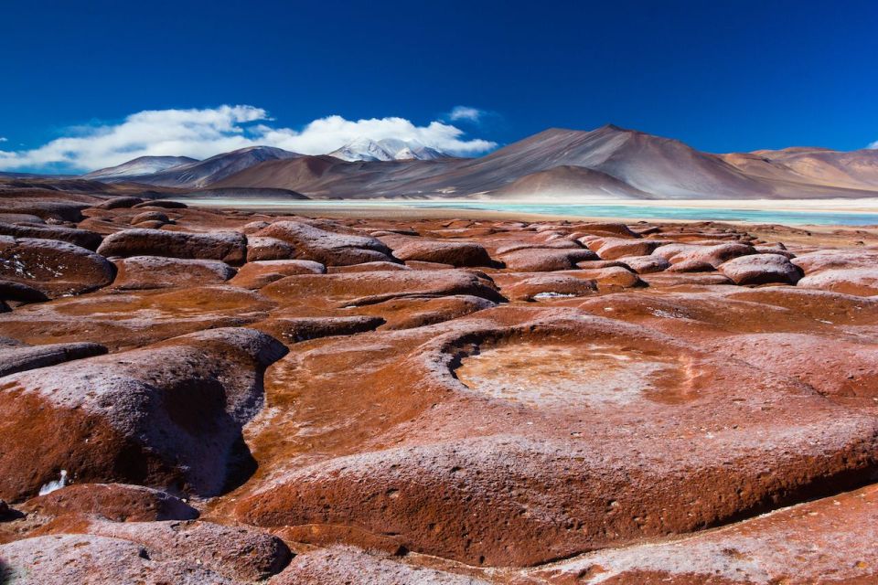 Snails: Red Stones of Atacama and Chaxa Guided Day Trip - Key Points