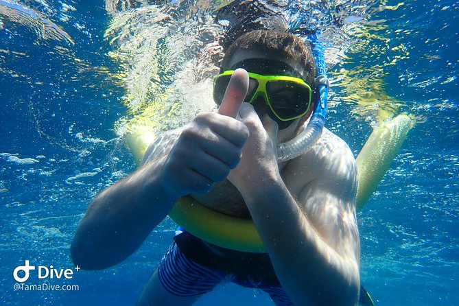 Snorkeling at Catalina Islands - Good To Know