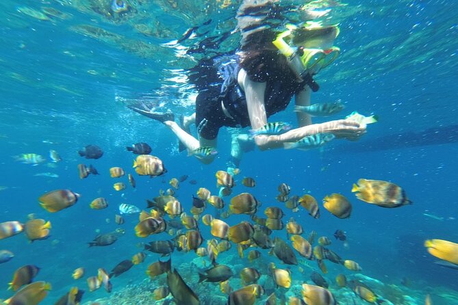Snorkeling Manta Bay And West Penida Private Guided Tour - Good To Know