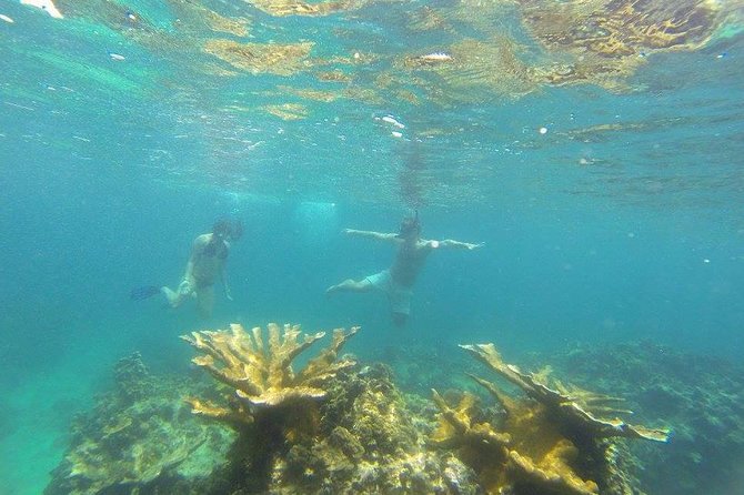 Snorkeling on the Caribbean Side of Panama - Good To Know