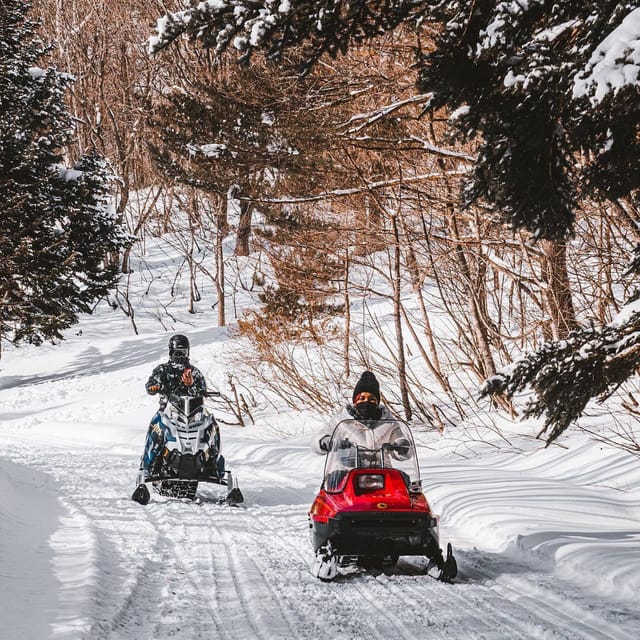 Snow Play, Sleds, Retro Snowmobiles - Overview of Snow Play Activities