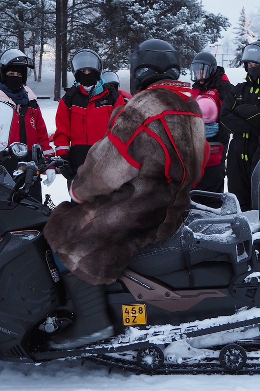 Snowmobile Expedition in Lapland - Key Points