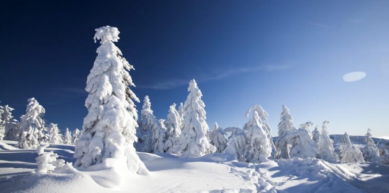 Snowshoeing Experience - Key Points