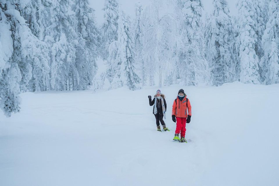 Snowshoeing in the Frozen Forest - Key Points