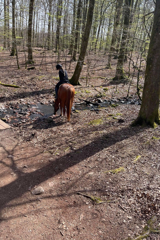 Söderåsen National Park: 3.5 Hours of Riding for Experienced Riders - Key Points