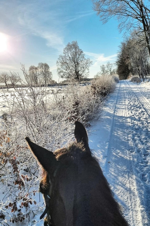 Söderåsen National Park: Horseback Riding Vacation 4 Nights - Key Points