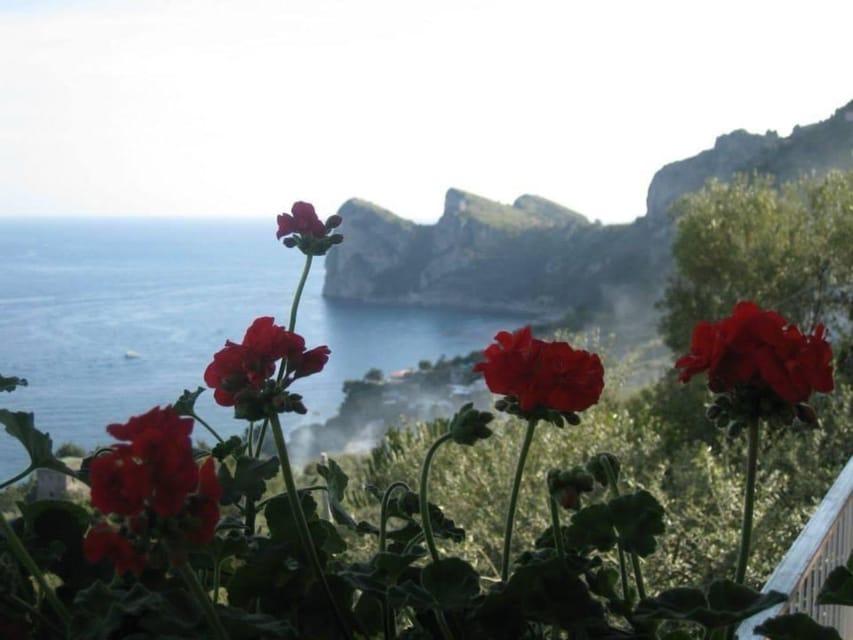 SORRENTO AMALFI COAST: TREKKING AND OVERNIGHT IN NERANO BAY - Key Points