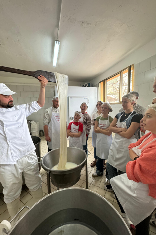 Sorrento Coast Mozzarella Tasting & Cheese Making Experience - Key Points