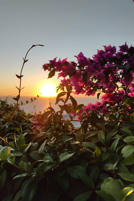 Sorrento Coast Sunset E-Bike Tour - Tour Overview