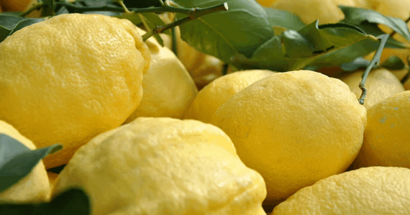 Sorrento: Night Time Walking Tour & Limoncello Tasting - Key Points