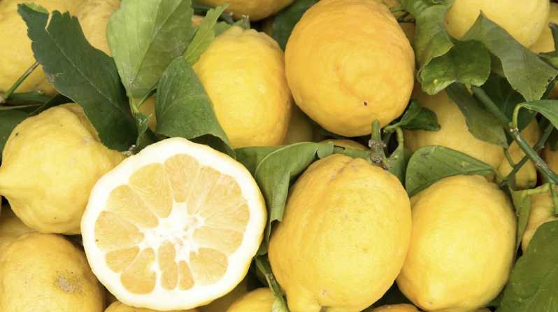 Sorrento: Walking Tour in Lemon Garden W/ Food Tasting - Key Points