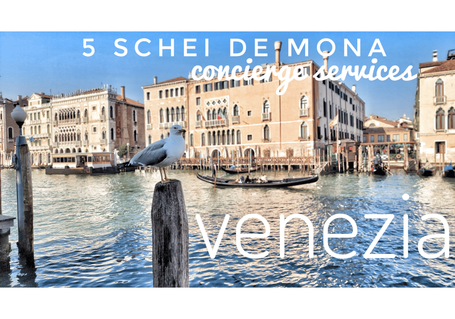 SOS Venice, WhatsApp Q&A Service by 5 SCHEI DE MONA - Service Overview and Pricing