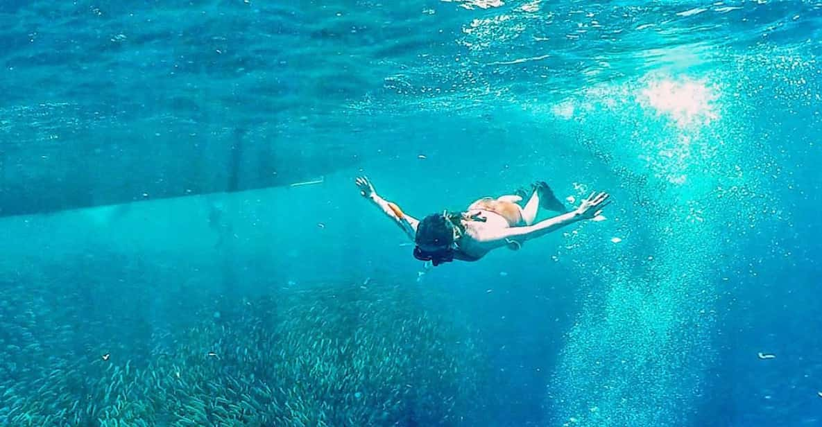 South Cebu: Sardines Run and Optional Canyoneering Adventure - Key Points