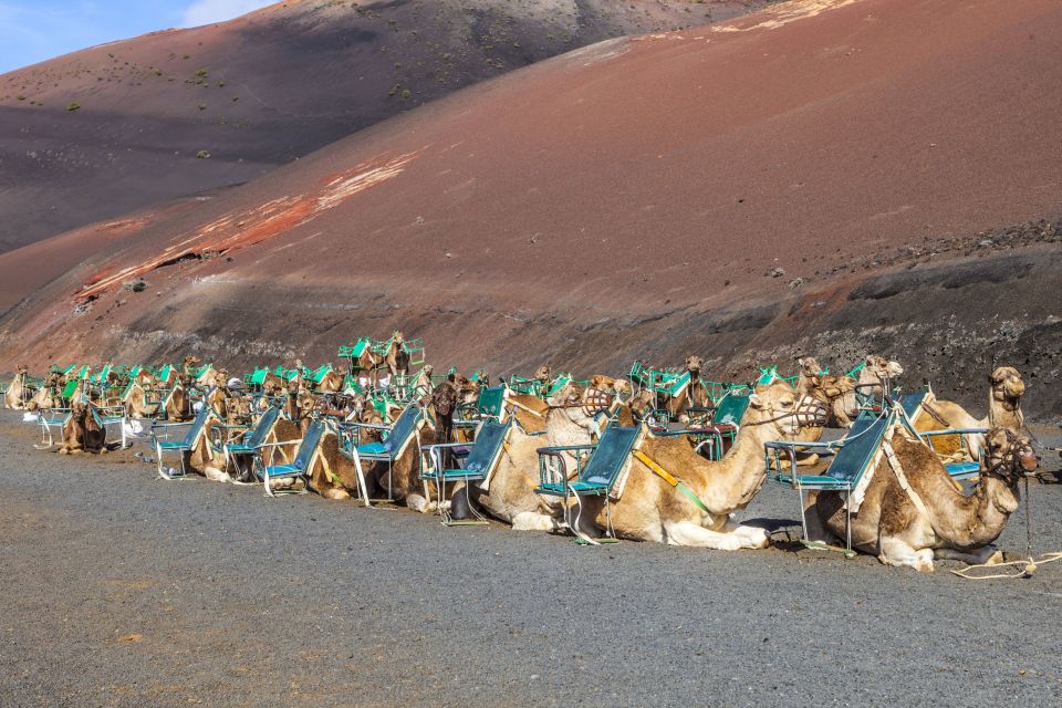 South Tour: Timanfaya National Park - Key Points