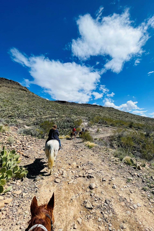 Southwest Horseback Riding (pickup in Laughlin) - Key Points