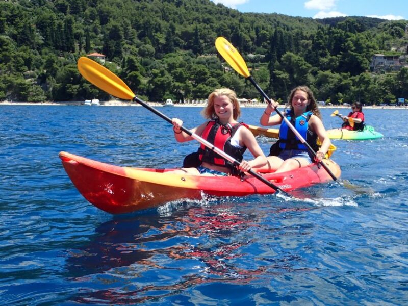 Split 4-Hour Guided Sea Kayak Tour - Good To Know