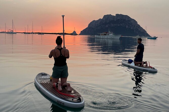 Stand Up Paddle Tour Dolphins Experience Golfo Aranci - Good To Know