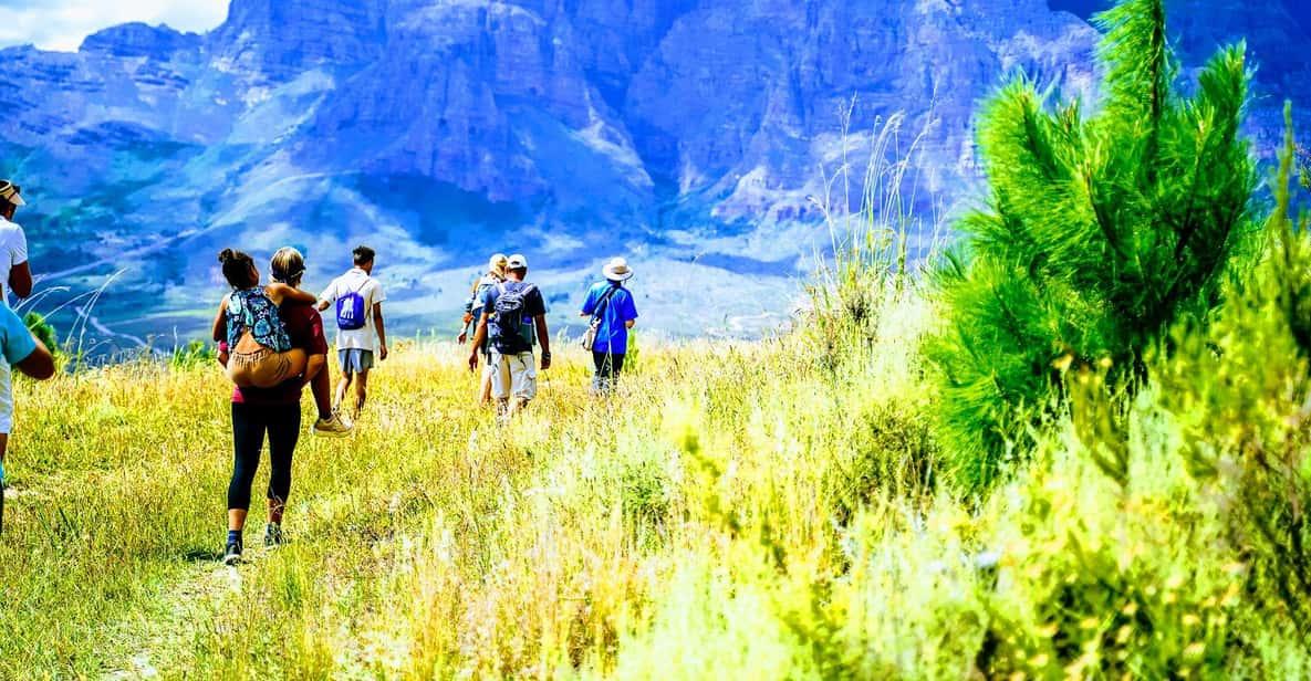 Stellenbosch: Dwarsrivier Silver Mine Hike - Good To Know