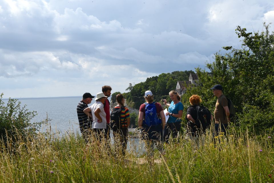 Stevns Klint: Scenic Hiking at a UNESCO World Heritage Site - Key Points