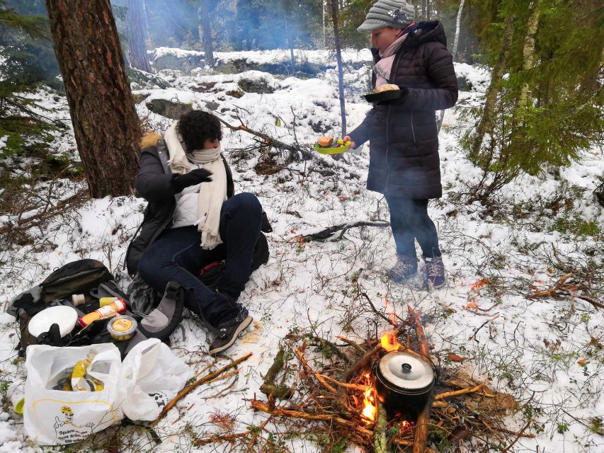 Stockholm: Winter Nature Hike With Campfire Lunch - Key Points