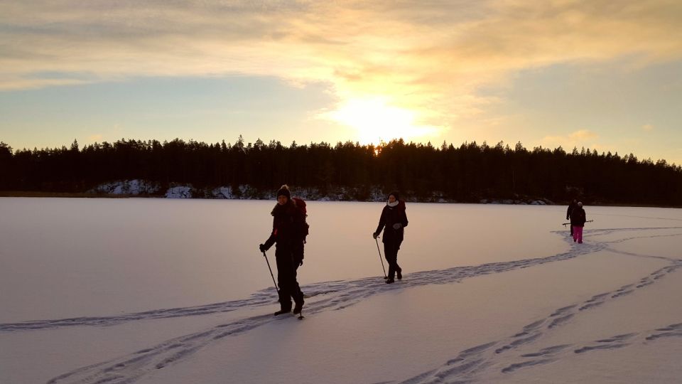 Stockholm: Winter Snowshoe Full-Day Hike - Key Points