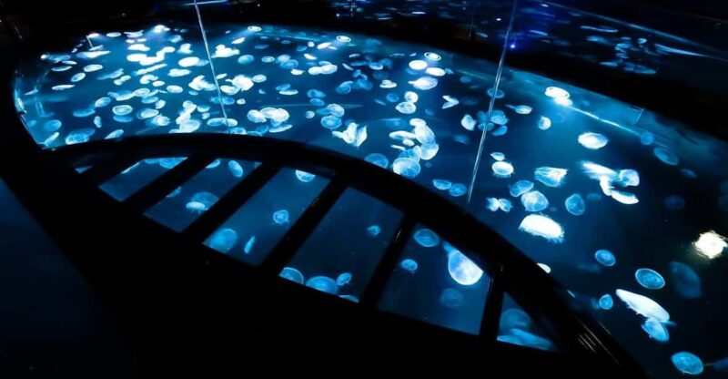 Sumida Aquarium Admission Ticket - Key Points