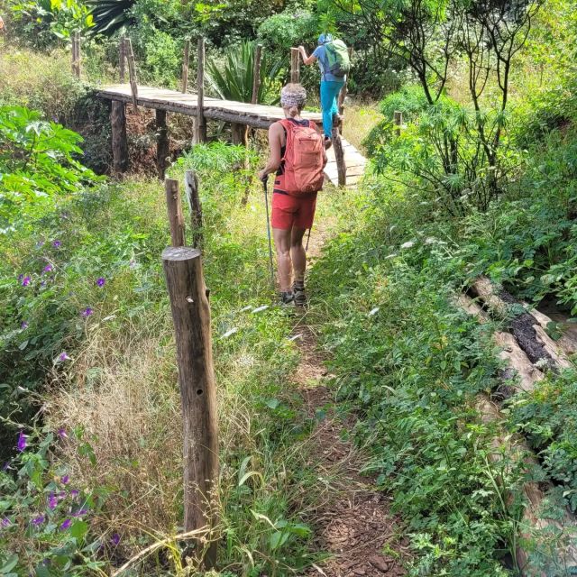 Summit Hike Monte Gordo - Good To Know