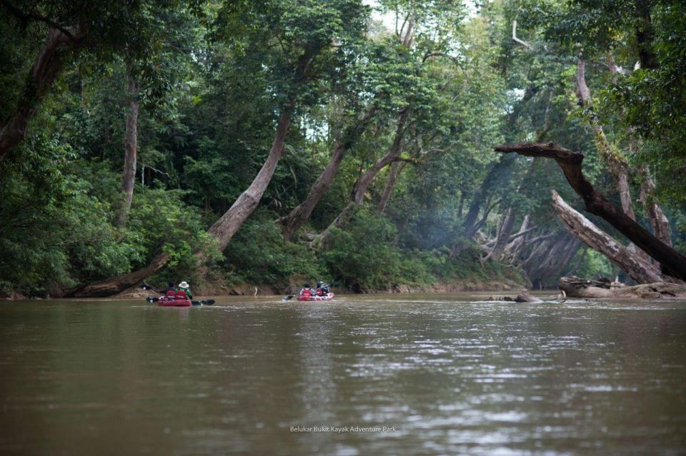 Sungai Berang Wildlife & Cultural Kayak Tour - Key Points