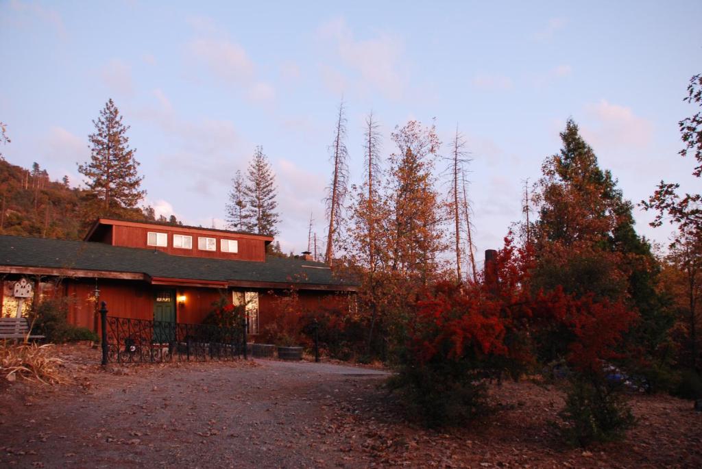 Sunny Pines Cottage Review