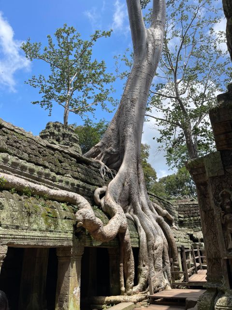 Sunrise Shared Tour in Angkor From Siem Reap - Good To Know